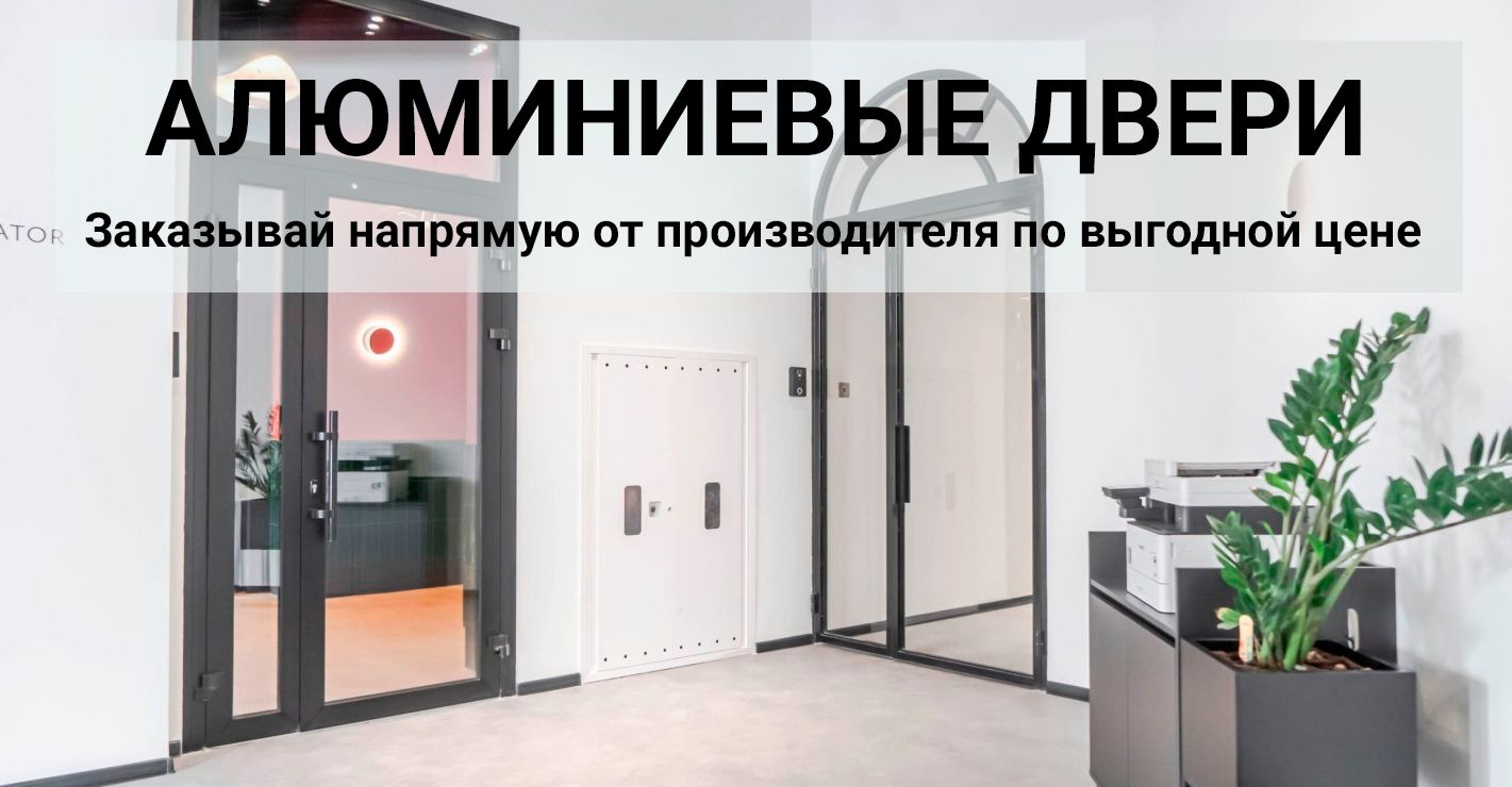 Алюминиевые двери 6
