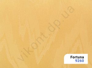 fortuna-9260