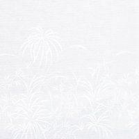 odnotonnue-167