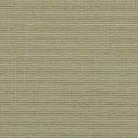 odnotonnue-241