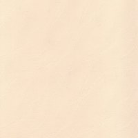 odnotonnue-029